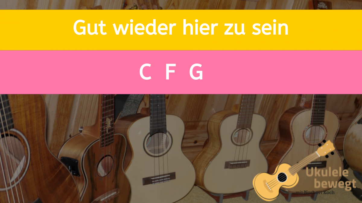 Online-Lernplattform – Ukulele bewegt